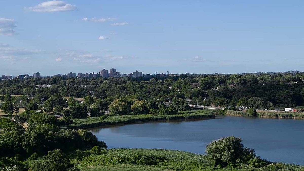 Scenic view of a river surrounded by lush greenery with a city skyline in the distance.