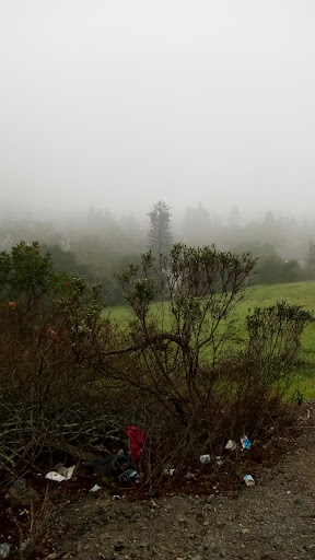 A serene landscape enveloped in fog, showcasing the beauty of nature.