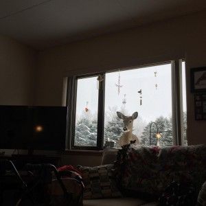 A cozy living room with a snowy view through the window.
