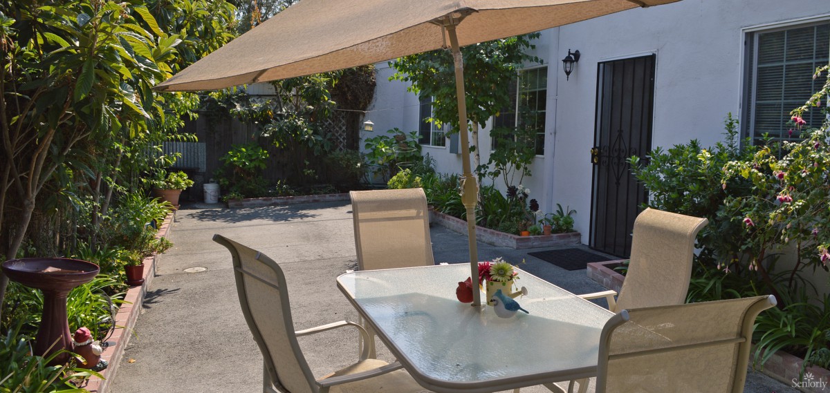 A sunny patio with a glass table and umbrella, surrounded by greenery.