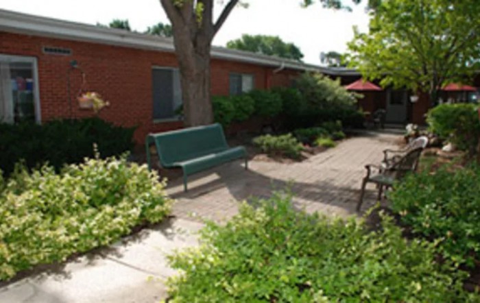 A peaceful outdoor garden area with a bench and lush greenery.