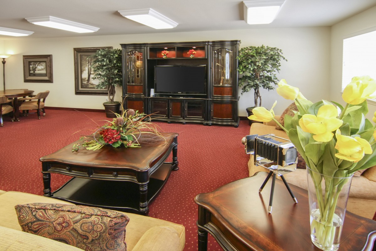 A cozy living room with a TV stand, coffee table, sofa, and decorative plants on a red carpet.