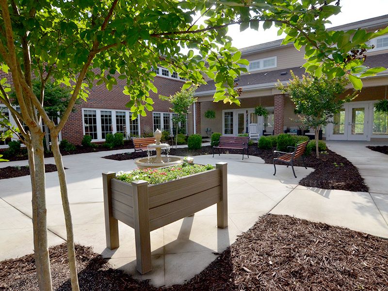 A peaceful courtyard garden with a raised planter, surrounded by trees and seating areas.