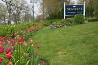 A landscaped garden with blooming flowers and a sign in the background.