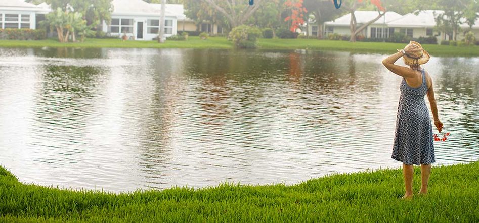 A peaceful lake surrounded by green grass and buildings in the background.