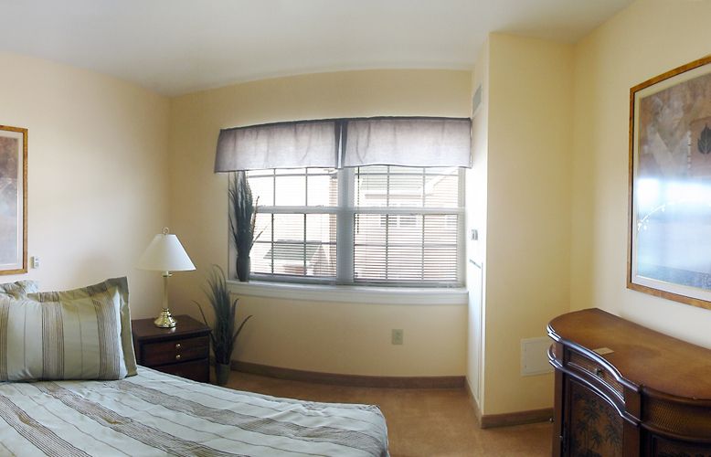 A cozy bedroom with large windows, a bedside table with a lamp, and a decorative plant.