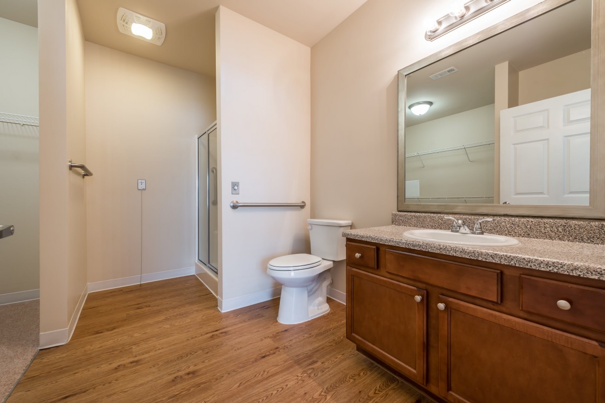 A modern bathroom with a wooden floor, featuring a sink with a vanity, a large mirror, toilet, and walk-in shower.