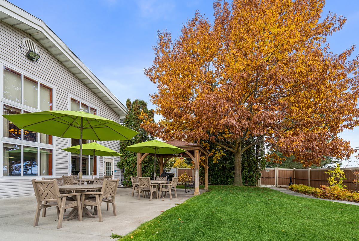 A cozy backyard patio with green umbrellas and outdoor seating, surrounded by a lush lawn and autumn-colored trees.
