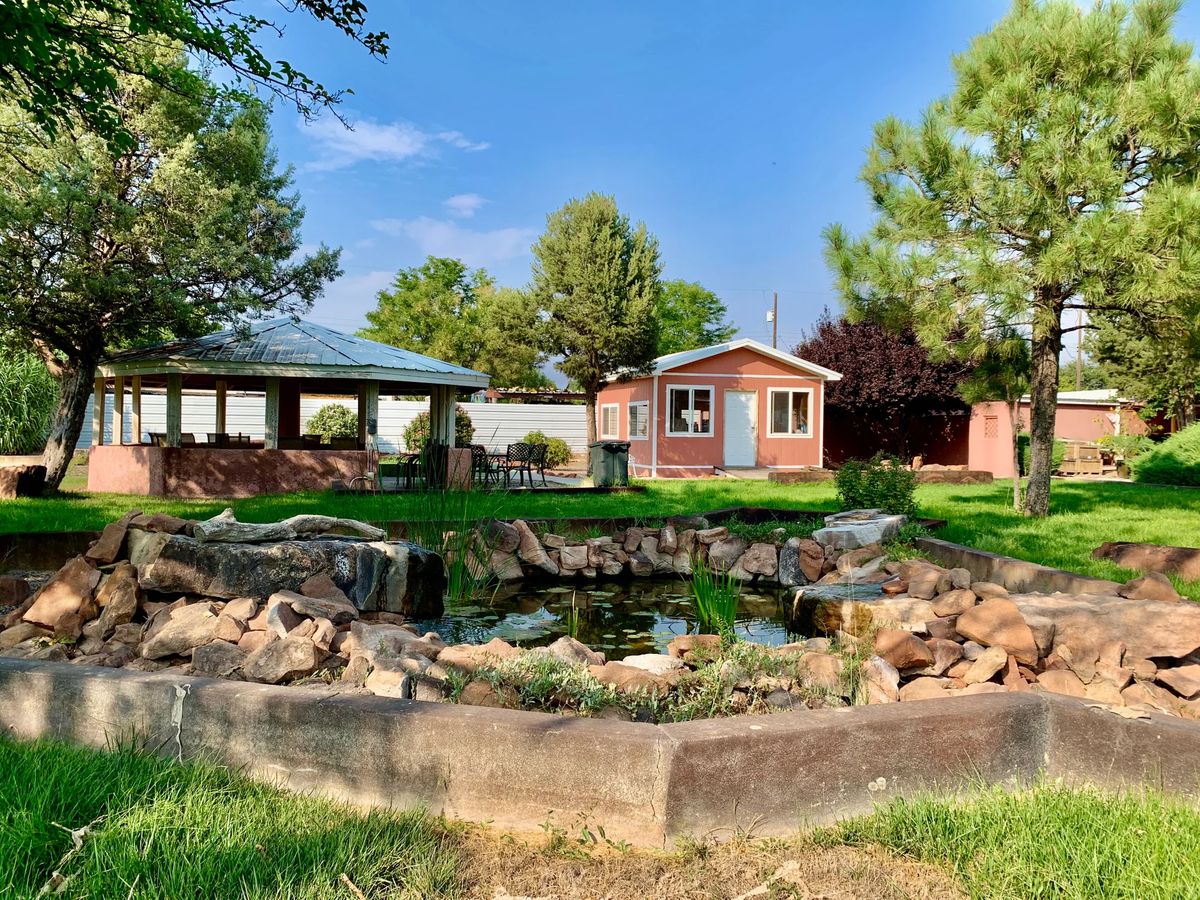 A serene garden featuring a pond, lush greenery, a small shed, and a gazebo under clear blue skies.