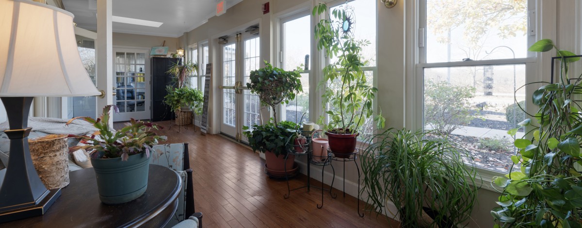 A serene sunroom filled with various potted plants basking in natural light through large windows.