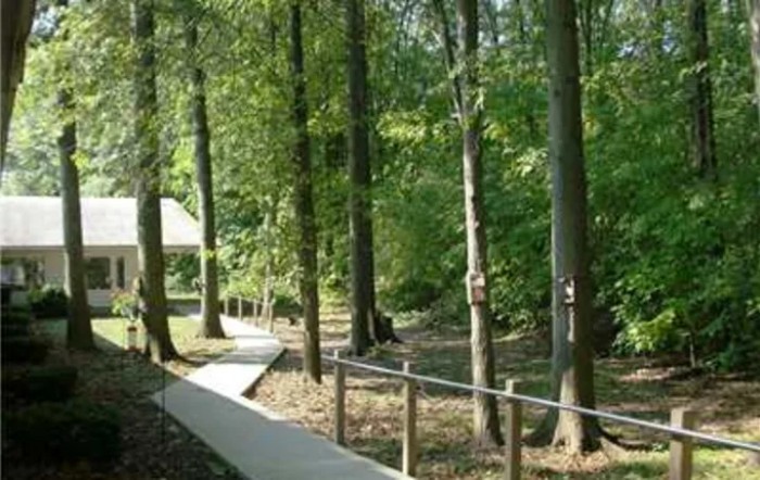 A serene pathway winds through a lush forest, surrounded by tall trees and vibrant greenery.