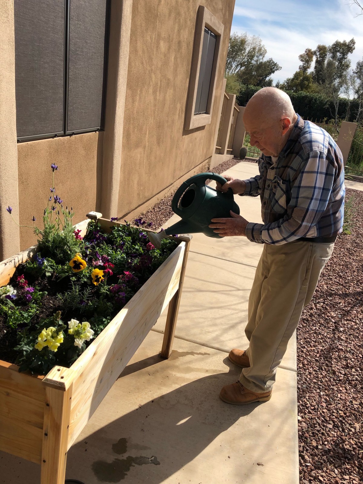 An elderly man waters a raised garden bed filled with colorful flowers on a sunny day.