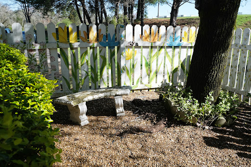 A peaceful garden spot featuring a stone bench and a beautifully painted fence.