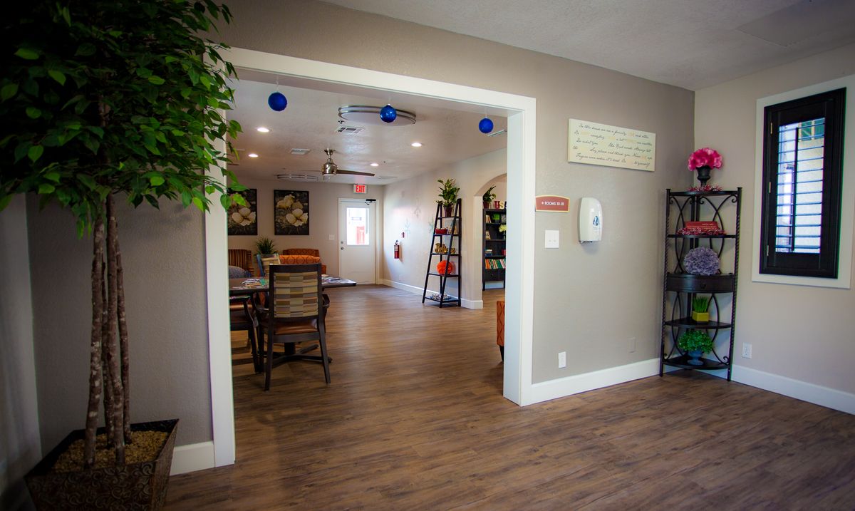 A spacious and inviting living area with wooden floors, decorated with plants and comfortable furniture.