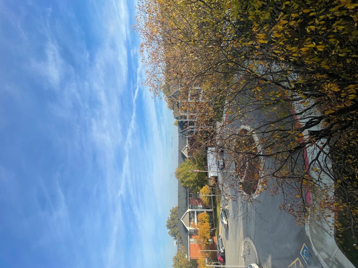 The Arboretum