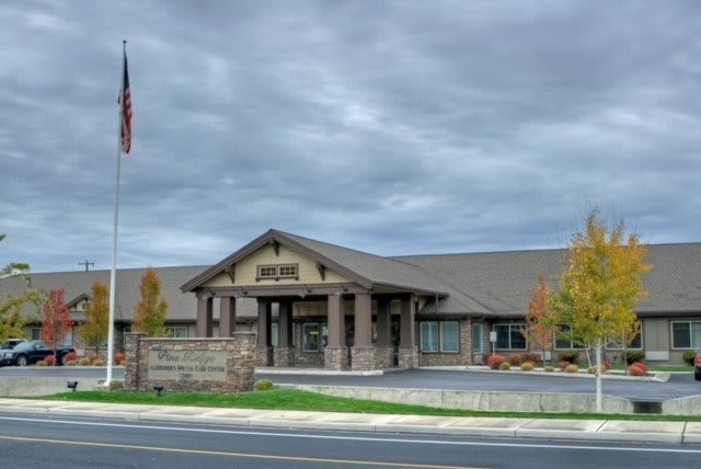 A school building under a cloudy sky with an American flag flying in front.