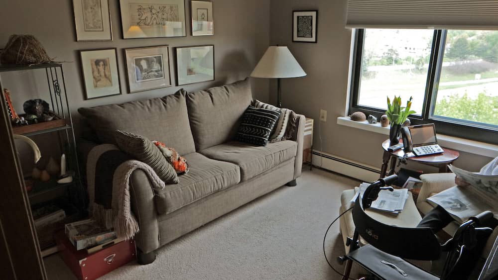 A cozy living room with a sofa, decorative pillows, and artwork on the wall.