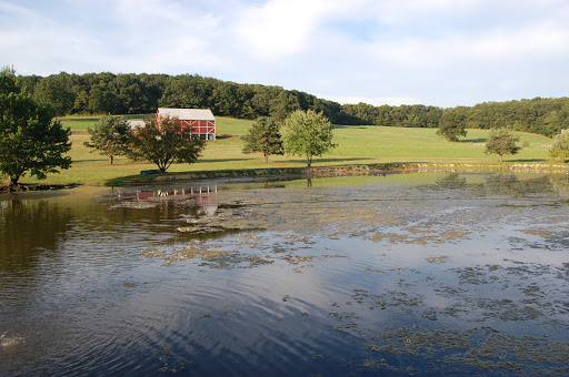 A serene countryside scene featuring a red barn by a tranquil pond surrounded by lush greenery.