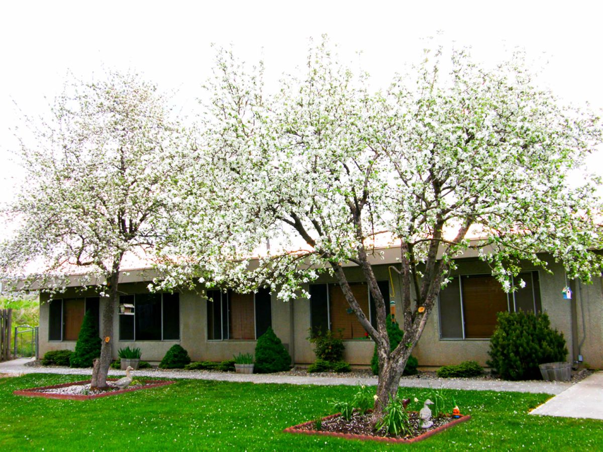 Avalon Care Center - Pullman