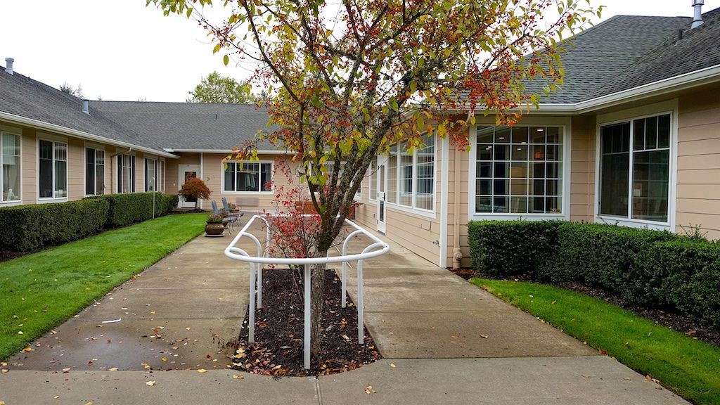 A tree surrounded by a protective metal fence on a sidewalk in front of a building.
