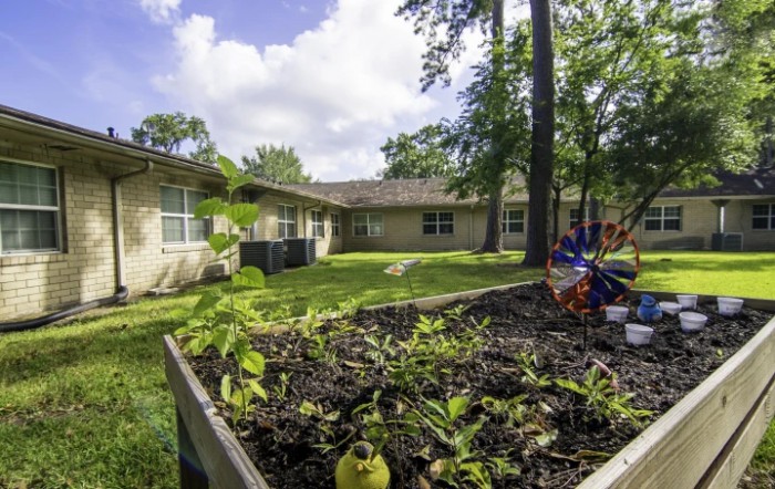 A backyard with a raised garden bed filled with plants, surrounded by trees and adjacent to a house.