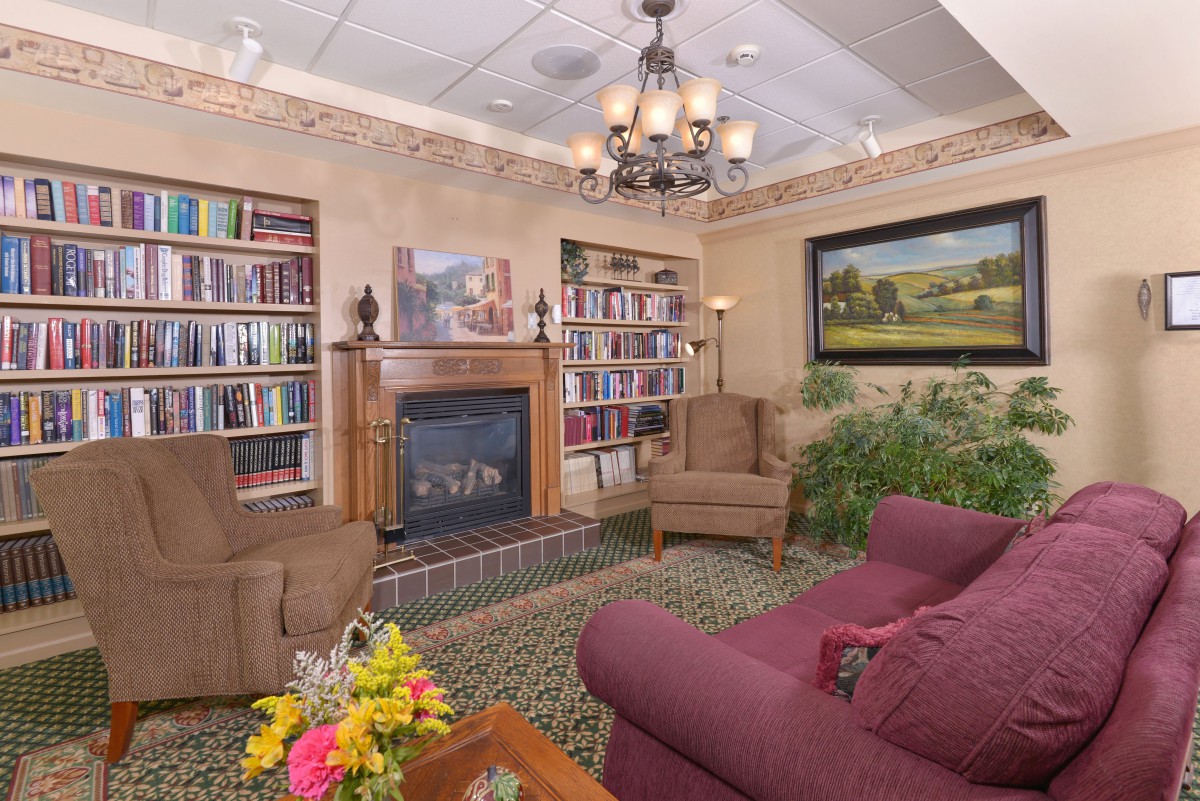 Cozy living room with a fireplace, surrounded by bookshelves and comfortable seating.