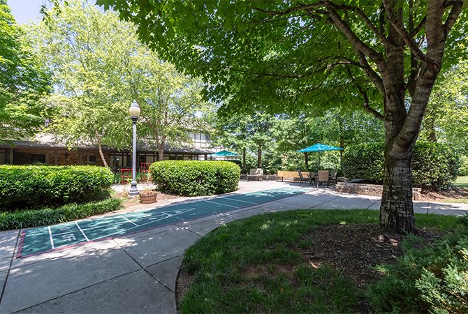 A peaceful park pathway surrounded by lush greenery and shaded seating areas.