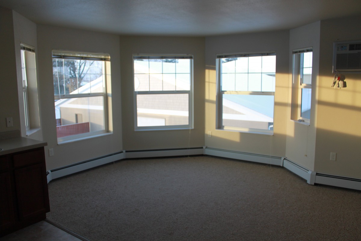 A bright, empty room with multiple windows and a carpeted floor.