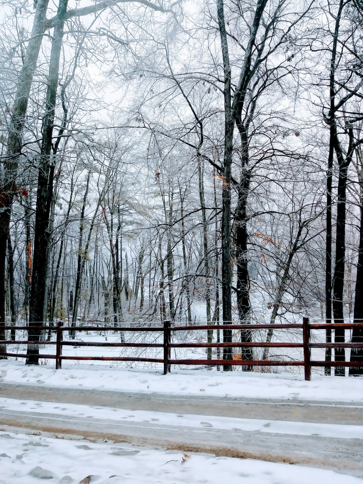 Bethesda Ranch