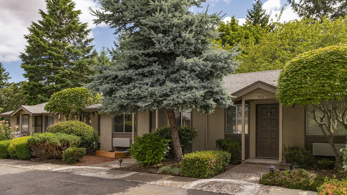 A quaint single-story house with a large tree and well-maintained garden.
