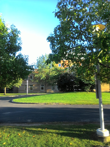 A peaceful park area surrounded by trees and a curved road.