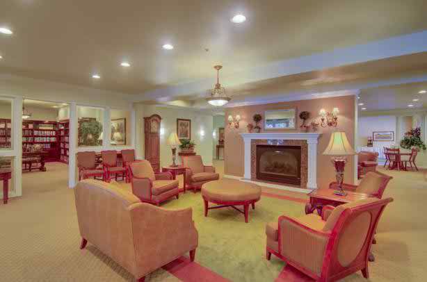 A cozy living room with a fireplace, sofas, and elegant decor.