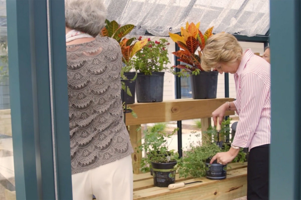 Two individuals tending to potted plants in a greenhouse.