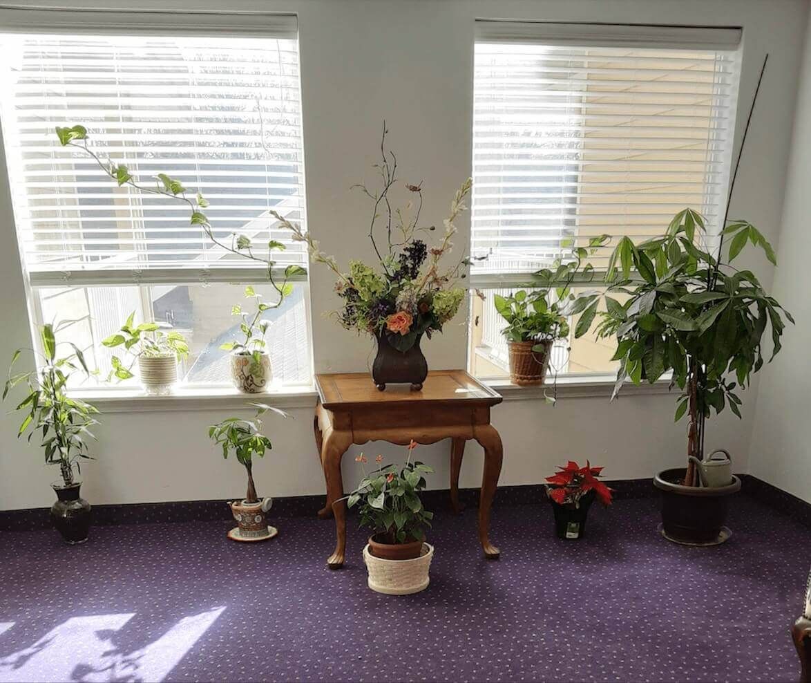 A cozy corner with various potted plants basking in natural light from two large windows.