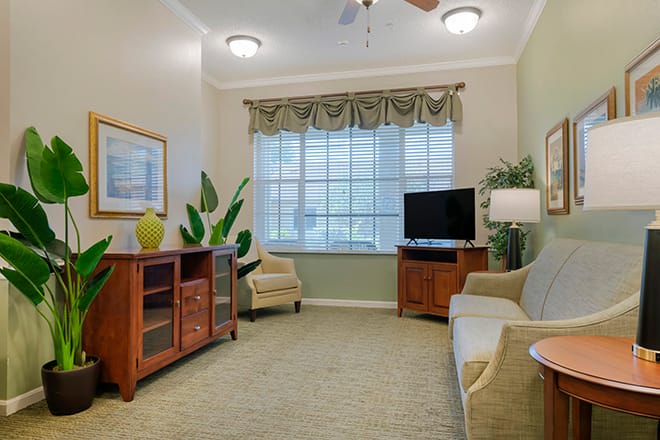 A cozy living room with a couch, chair, and TV, adorned with potted plants and sunlight streaming through the window.