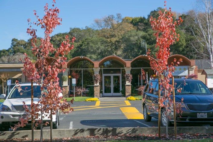 An entrance to a building surrounded by autumn trees and parked vehicles.