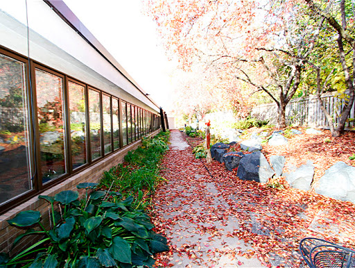 A serene autumn pathway lined with colorful leaves and a modern building.