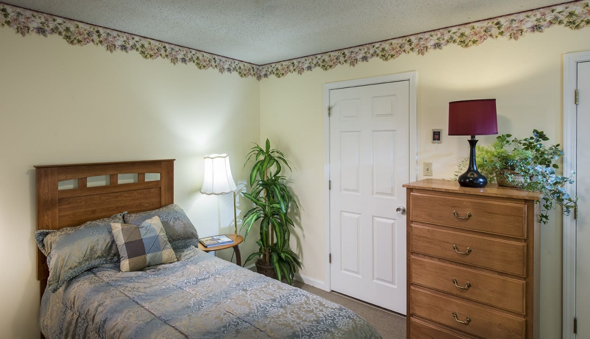 A cozy bedroom with a bed, lamp, dresser, and decorative plant.