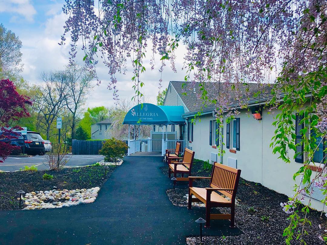 A pathway with benches leading to a building under a blue awning, surrounded by trees.