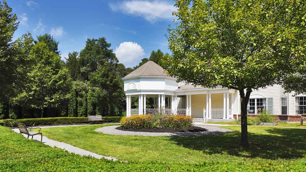 A charming house with a garden surrounded by trees on a sunny day.