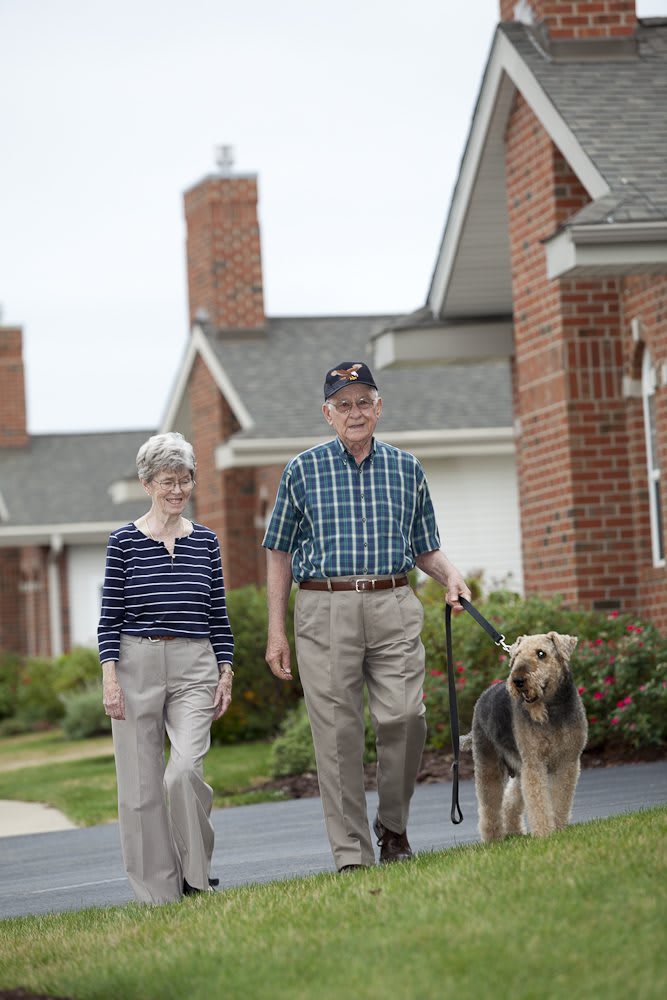 An elderly couple enjoying a walk with their dog in a residential neighborhood.