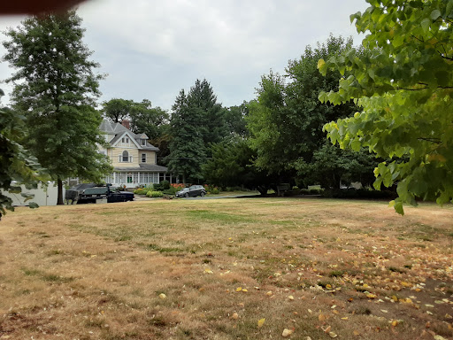 A serene park scene with a mix of dry grass and lush trees, featuring a quaint house in the background.