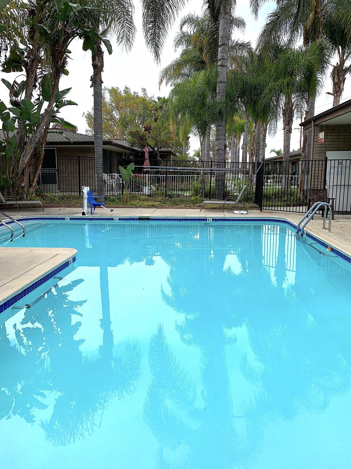A serene outdoor swimming pool surrounded by palm trees in a residential area.