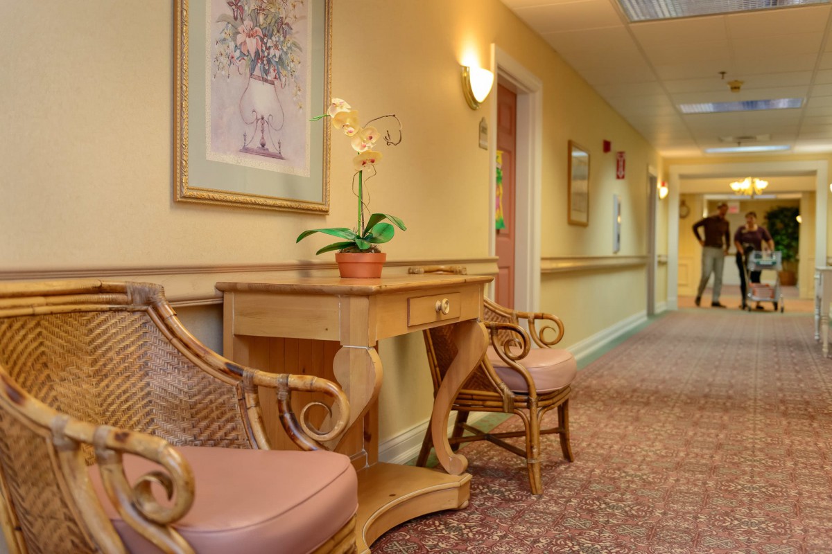 A warmly lit hallway with decorative furniture, featuring two chairs and a small table adorned with a plant and artwork on the walls.