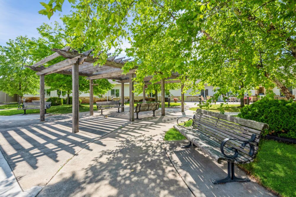 A peaceful park scene with benches under a pergola surrounded by lush greenery on a sunny day.