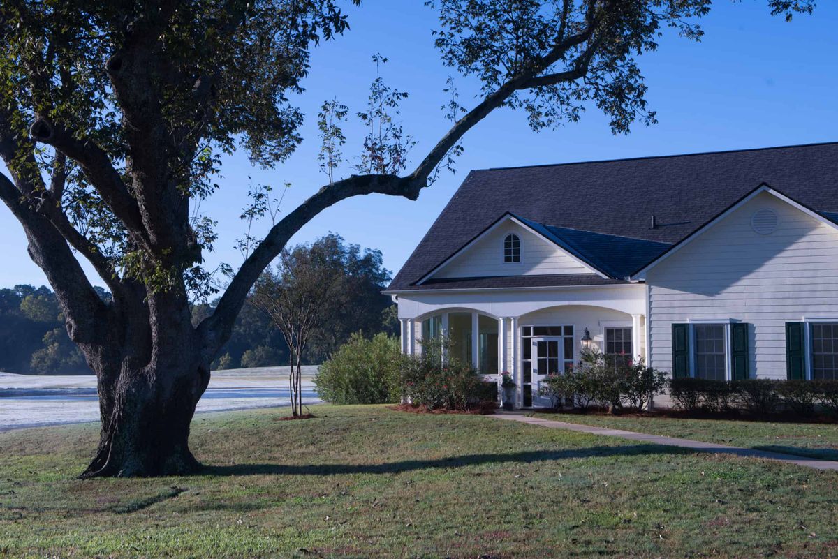 A charming house with a large tree in the front yard, basking in the sunlight.