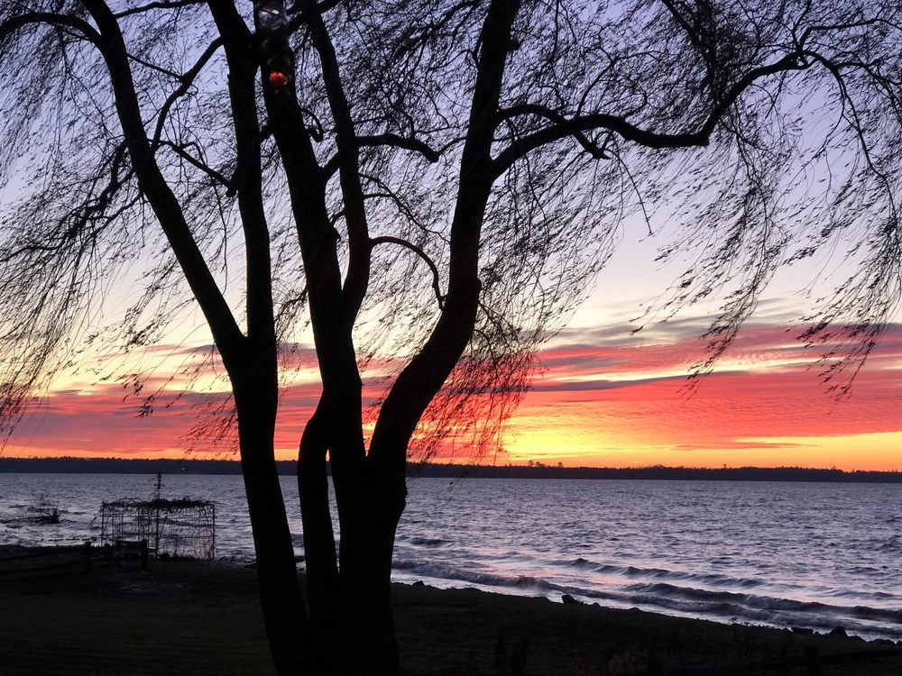 Sunny Shores Adult Foster Care Home