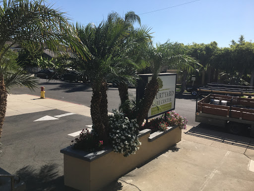 A view of palm trees and a sign in a sunny outdoor setting.
