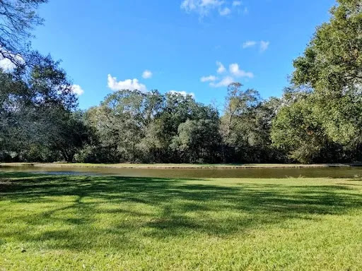 A serene view of a lush green landscape by the water under a clear blue sky.