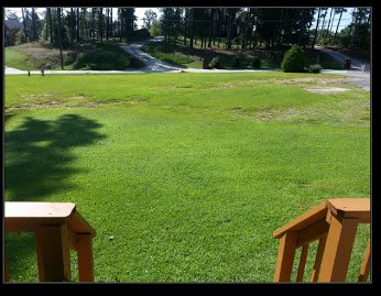 A lush green lawn with a view of trees and a road in the background.